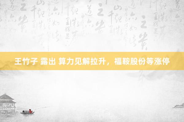 王竹子 露出 算力见解拉升，福鞍股份等涨停