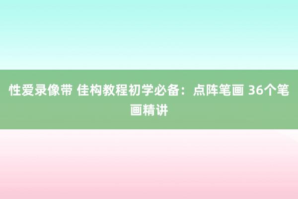 性爱录像带 佳构教程初学必备：点阵笔画 36个笔画精讲