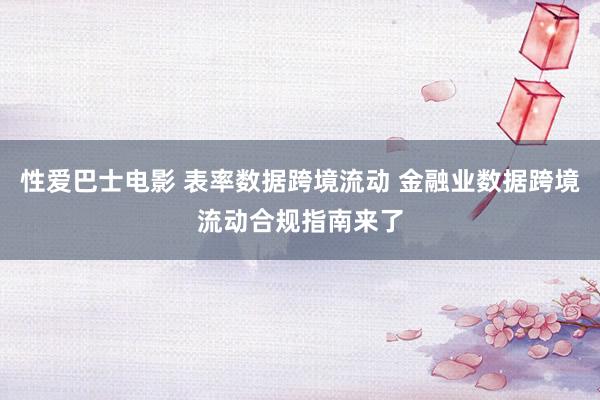 性爱巴士电影 表率数据跨境流动 金融业数据跨境流动合规指南来了