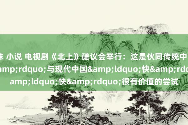 丝袜 小说 电视剧《北上》磋议会举行：这是伙同传统中国&ldquo;慢&rdquo;与现代中国&ldquo;快&rdquo;很有价值的尝试