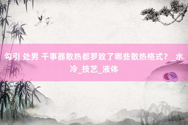 勾引 处男 干事器散热都罗致了哪些散热格式？_水冷_技艺_液体