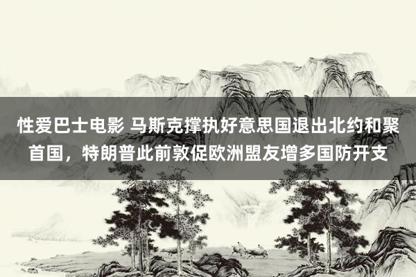 性爱巴士电影 马斯克撑执好意思国退出北约和聚首国，特朗普此前敦促欧洲盟友增多国防开支