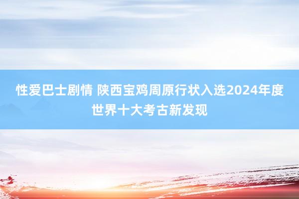 性爱巴士剧情 陕西宝鸡周原行状入选2024年度世界十大考古新发现