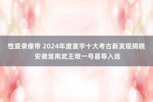 性爱录像带 2024年度寰宇十大考古新发现揭晓 安徽淮南武王墩一号墓等入选