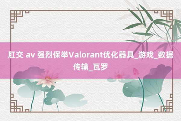 肛交 av 强烈保举Valorant优化器具_游戏_数据传输_瓦罗