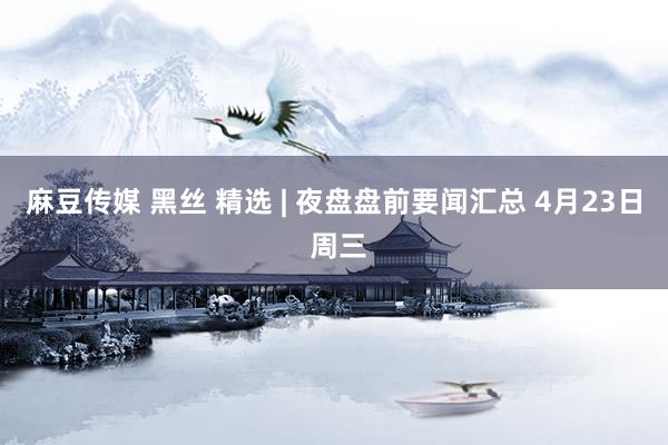 麻豆传媒 黑丝 精选 | 夜盘盘前要闻汇总 4月23日 周三