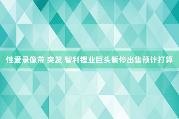性爱录像带 突发 智利锂业巨头暂停出售预计打算