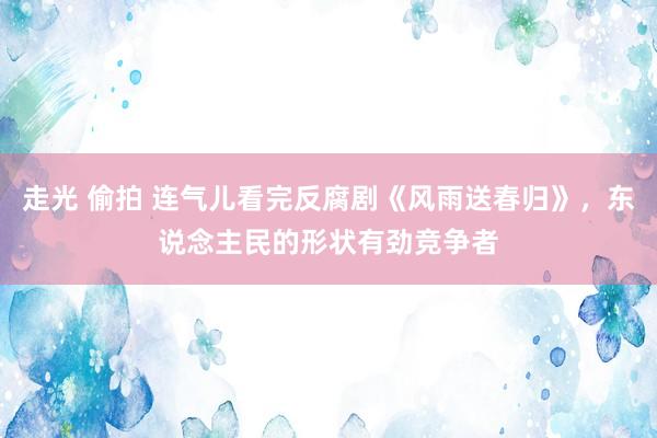 走光 偷拍 连气儿看完反腐剧《风雨送春归》，东说念主民的形状有劲竞争者